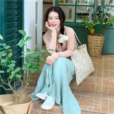 托梅斯的导盲犬
